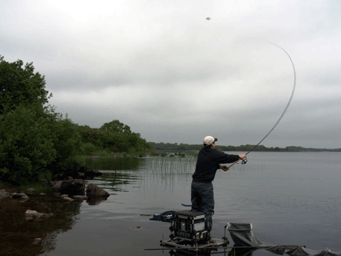 Cathal Hughes feb.gif